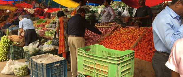 インド　野菜　